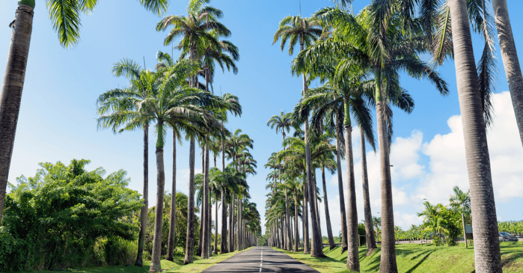 guadeloupe