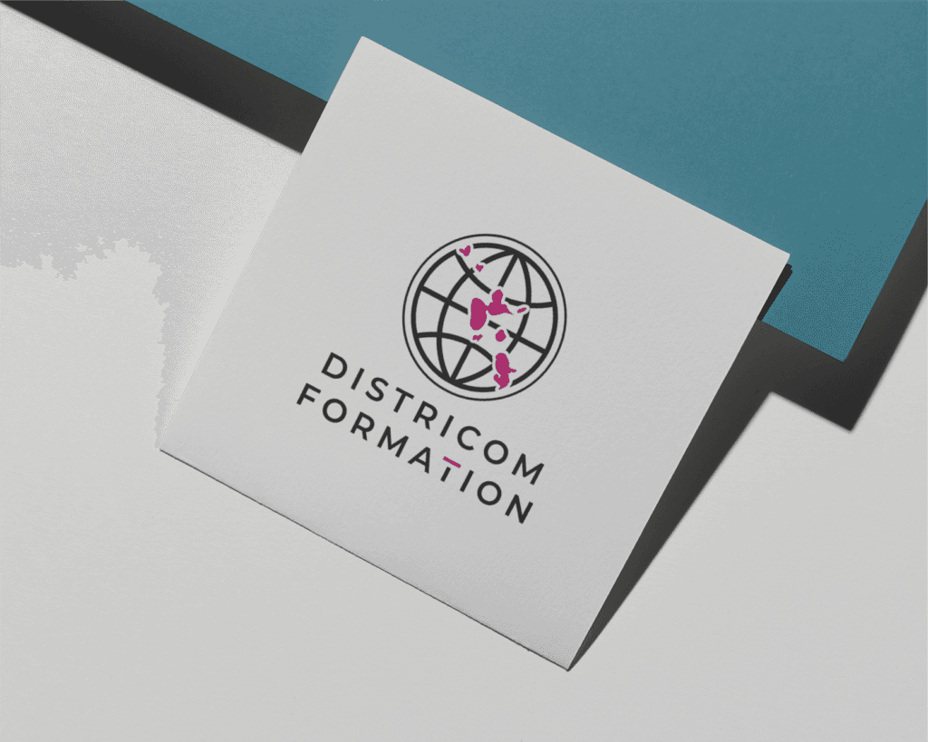 presentation du logo