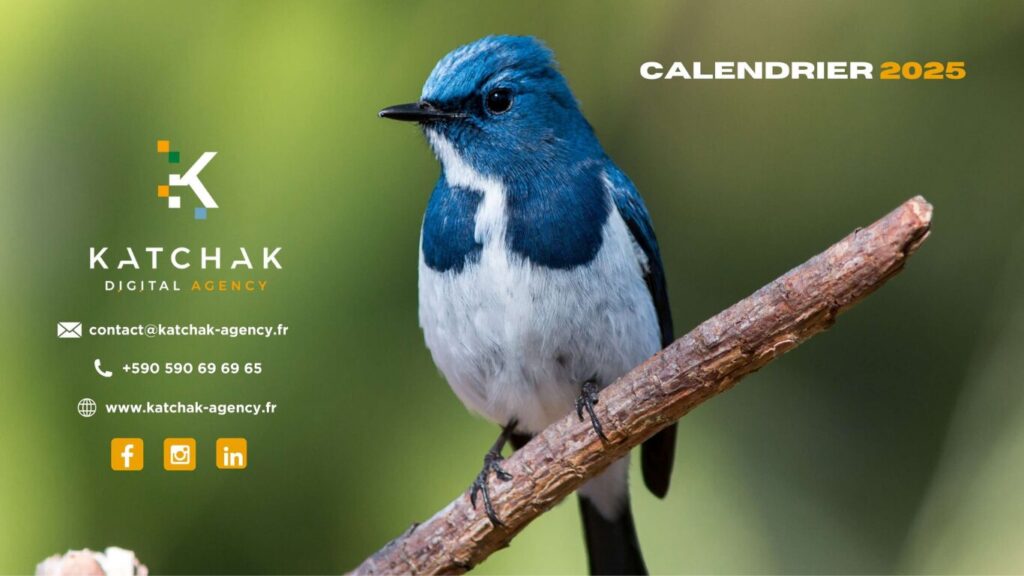 Antilles-Guyane Calendrier Social Media 2025 Katchak (2)